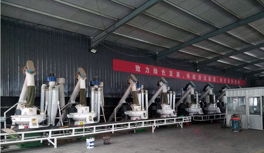 10-я линия по производству древесных пеллет в Цзянсу