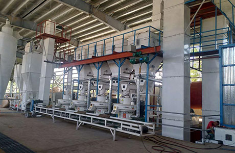8 тонн производственной линии пеллет из пальмового шелка в час на Филиппинах