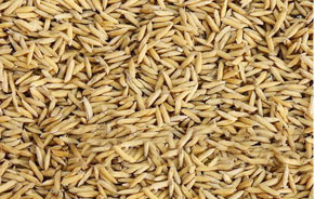 Рисовой шелухи