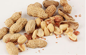 Скорлупа арахиса