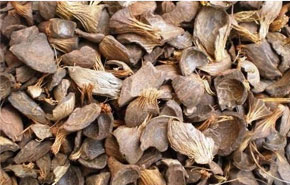 Раковина ладони